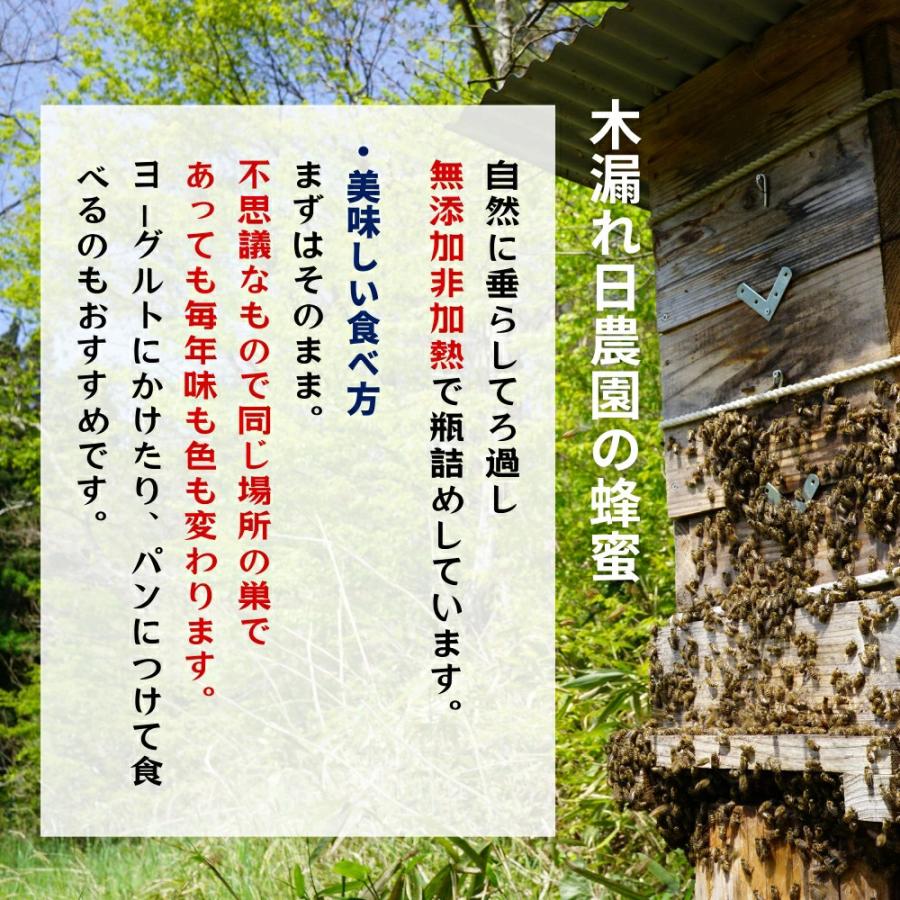 にほんみつばちのはちみつ 3本セット 3個セット 日本ミツバチ 国産はちみつ 送料無料 数量限定 宮城県産 無