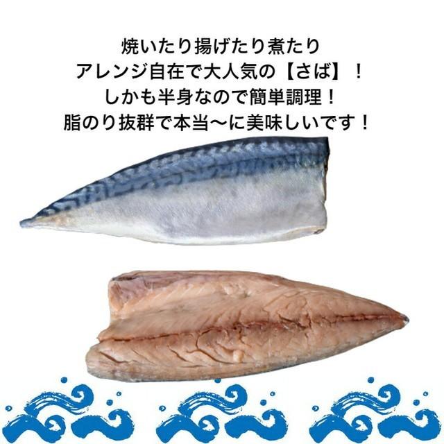 さば 冷凍 切り身 3kg 金華塩さば半身（腹骨取り）訳あり サバ 鯖 海鮮 まとめ買い 大容量 food｜sunmine-mine｜05