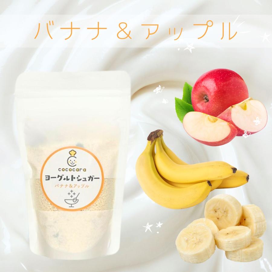 ヨーグルトシュガー 80g お試し お砂糖 ドライフルーツ入り グラノーラ