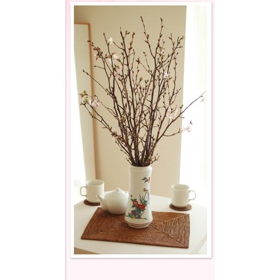 花 誕生日プレゼント 花束 桜 さくら 花束 サクラ 送料無料 Sakura 花 誕生日プレゼント サンモクスイ 通販 Yahoo ショッピング