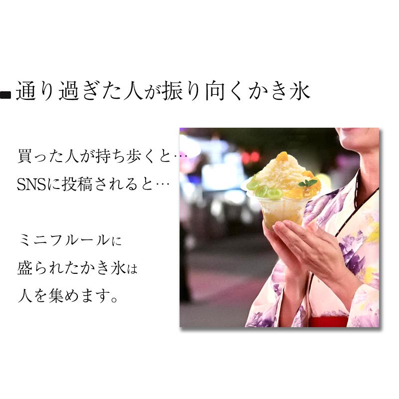 サンナップ（SUNNAP） ミニフルール ジ・アース かき氷カップ 340m 50