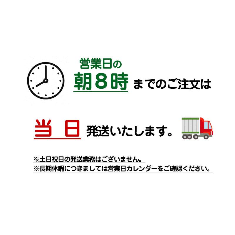 福袋 常磐ときわ 数量限定 【 紙コップ 限定品 おまけ付 断熱カップ テイクアウト 持ち帰り 使い捨て 】 | サンナップ | 12