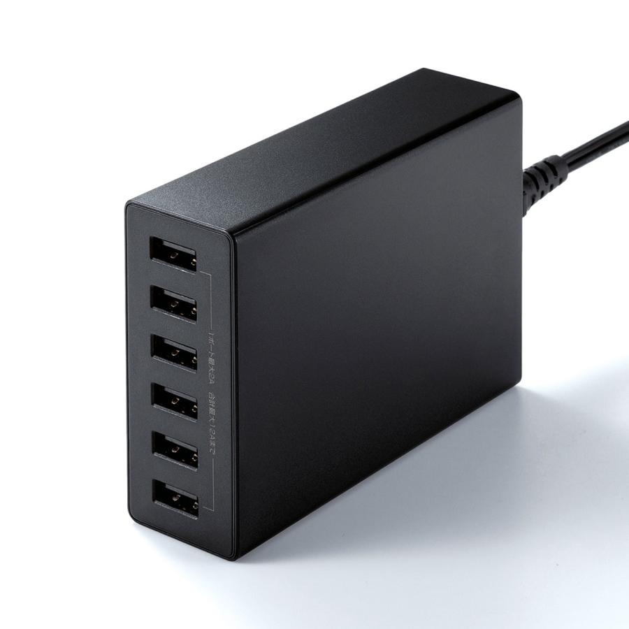 SANWA SUPPLY - 貨物輸送無料 サンワサプライ USB申し受ける器（6界面・足し加える12A・黒いこと）
