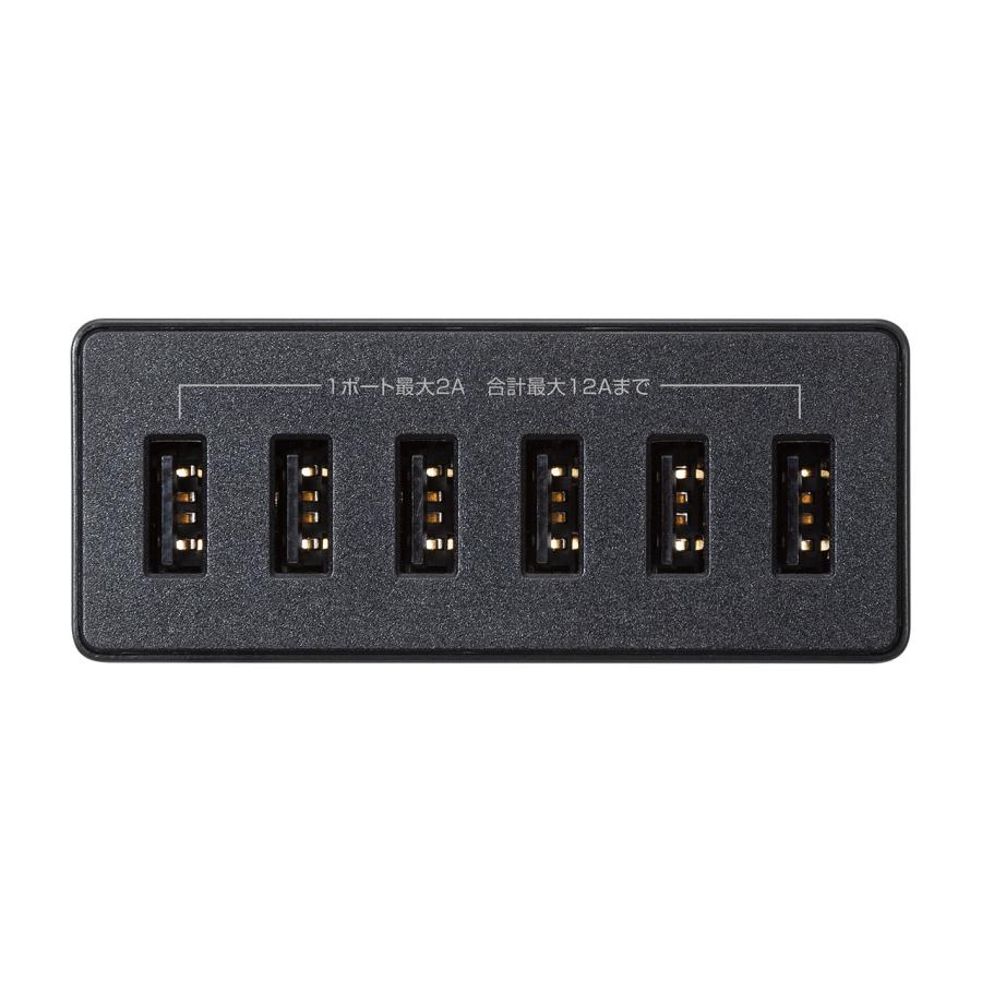 SANWA SUPPLY - 貨物輸送無料 サンワサプライ USB申し受ける器（6界面・足し加える12A・黒いこと）