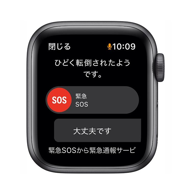 Apple Watch SE アップルウォッチSE 第1世代 GPSモデル MKQ13J/A 40mm 