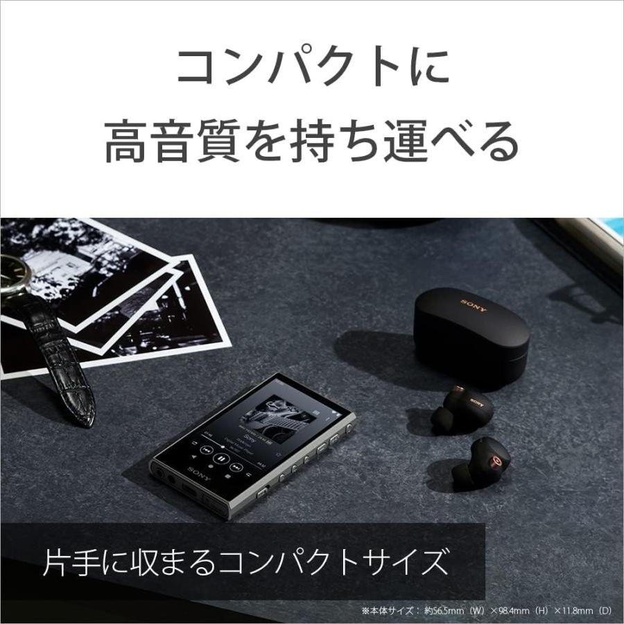 SONY ソニー ポータブルオーディオプレーヤー Walkman