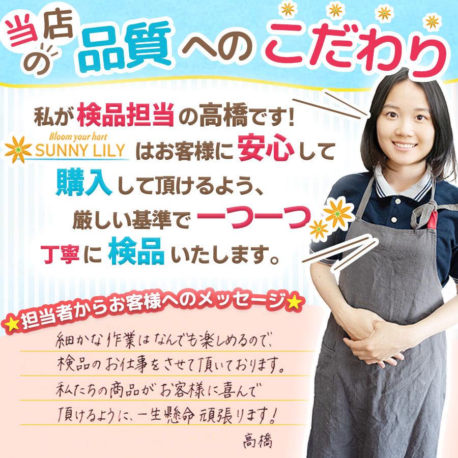赤ちゃん 枕 ドーナツ枕 ベビー枕 洗える カバー付き 頭の形 まるく 絶壁頭防止 寝ハゲ対策 ドーナツピロー Sl 01 Sunny Lily 通販 Yahoo ショッピング