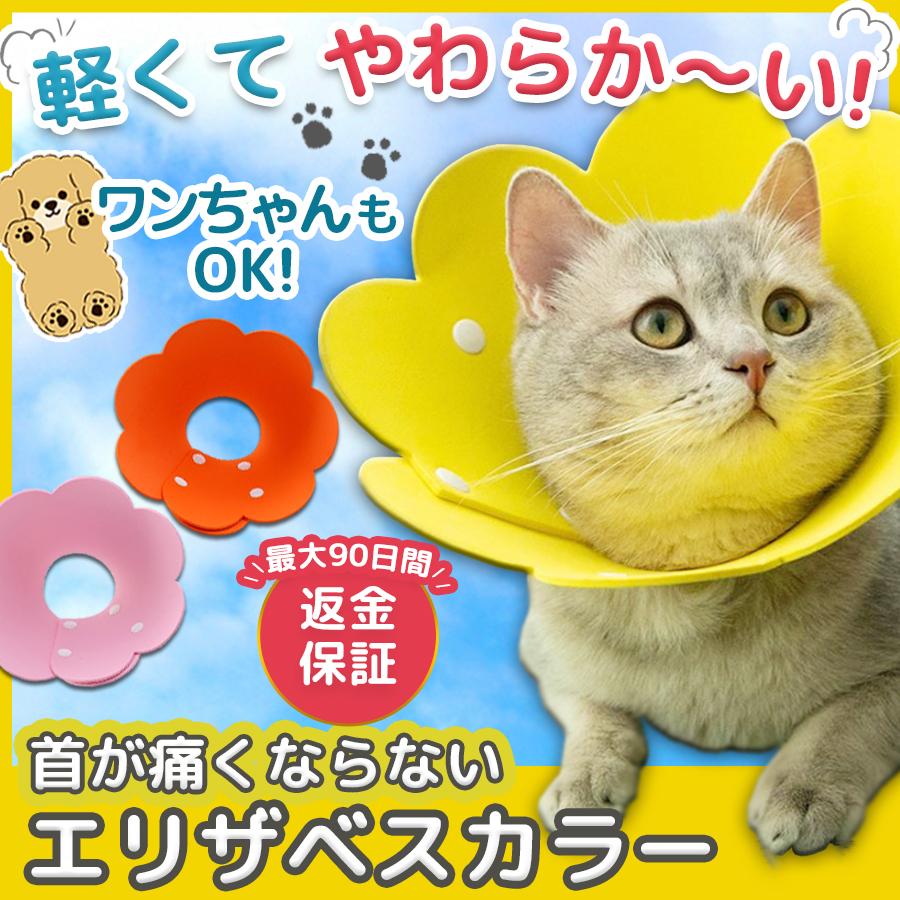 エリザベスカラー 猫 ネコ 軽量 ソフト Eva素材 ストレス軽減 傷舐め防止 ペット用 ソフトエリザベスカラー Sl Nekoe Sunny Lily 通販 Yahoo ショッピング
