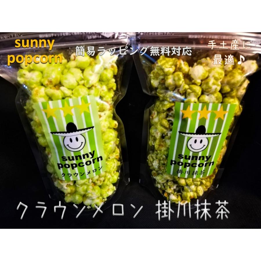 静岡 ポップコーン 2種類 掛川抹茶 マスクメロン お菓子アソート 詰め合わせ ギフト プレゼント お土産 Sunnypopcorn005 Sunny Popcorn 通販 Yahoo ショッピング