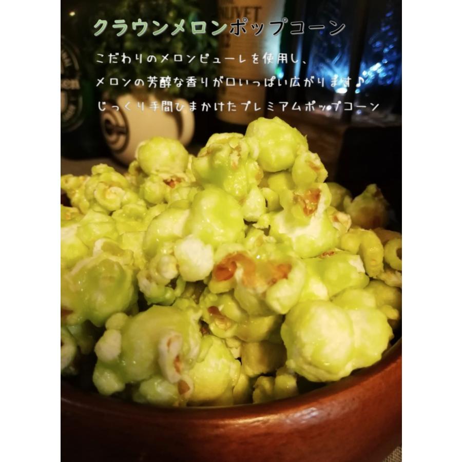 静岡 ポップコーン 2種類 掛川抹茶 マスクメロン お菓子アソート 詰め合わせ ギフト プレゼント お土産 Sunnypopcorn005 Sunny Popcorn 通販 Yahoo ショッピング