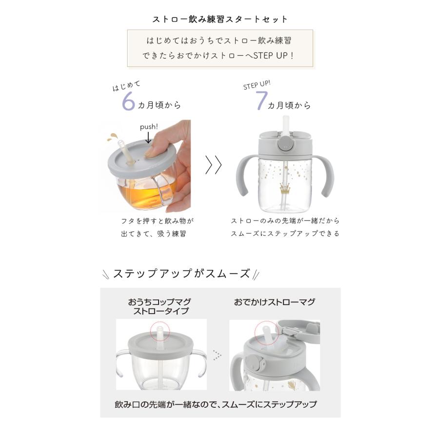 リッチェル アスター おうちおでかけスタートセット おうち リッチェル アスター おうちおでかけスタートセット おうち