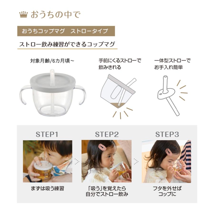 リッチェル アスター おうちおでかけスタートセット おうち リッチェル アスター おうちおでかけスタートセット おうち