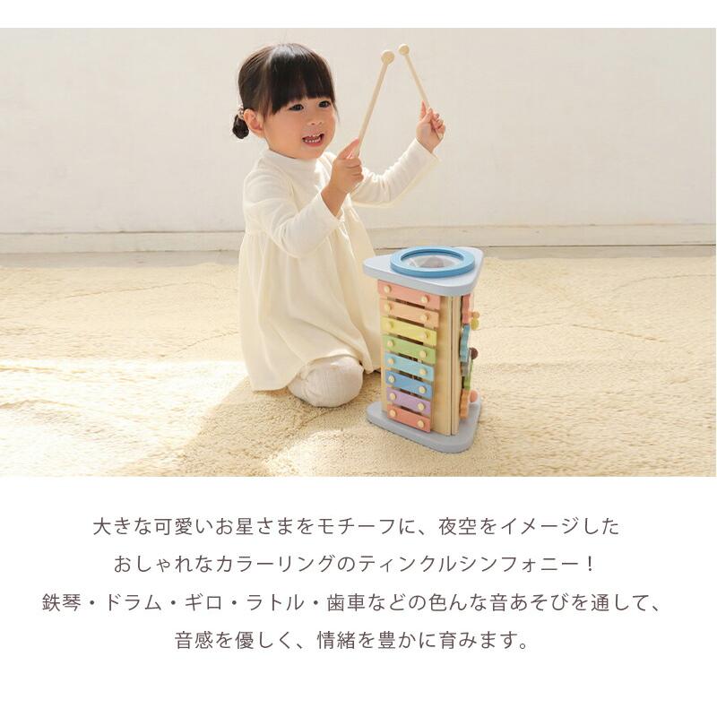 エド・インター（Ed・Inter） おもちゃ 楽器 鉄琴 太鼓 ドラム ギロ