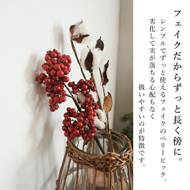 赤い実 ベリースプレー ベリーピック レッド ベリー 赤い実 サンキライ