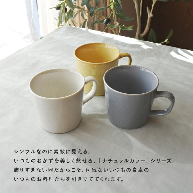 食器一式＋マグカップ（ナチュラルカラー / 磁器 / 美濃焼） 美濃焼 ナチュラルカラーマグ マグカップ カップ コーヒーカップ