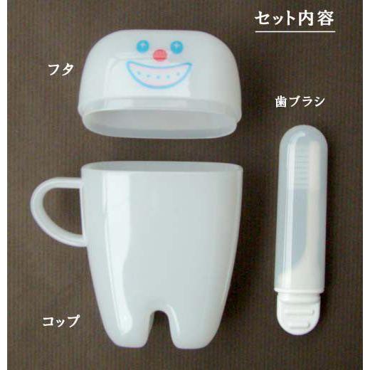 Gladee グラディー ティース歯磨きセット はみがき おしゃれ かわいい