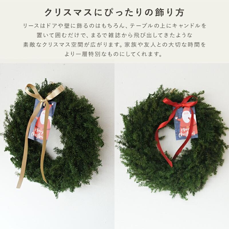 ポピー クリスマスリース クリスマス スワッグ リース ヒムロスギ