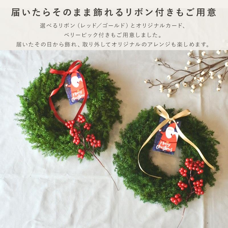 ポピー クリスマスリース クリスマス スワッグ リース ヒムロスギ
