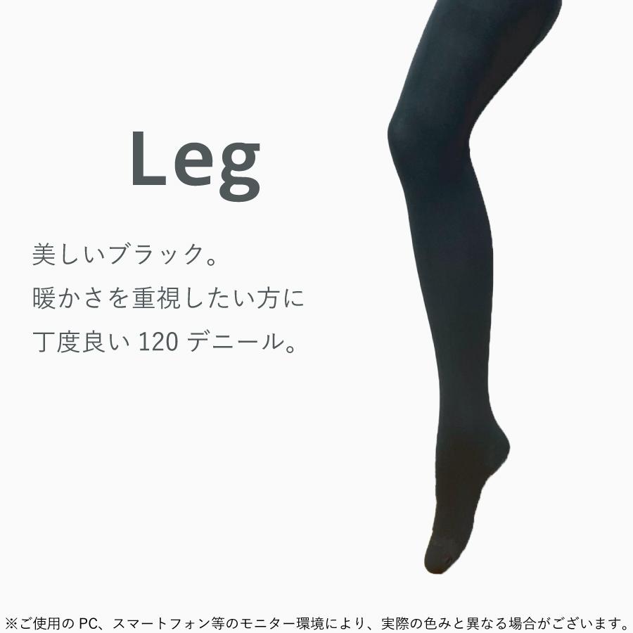 Heat style PREMIUM 120デニール 2足組 11607 送料無料 タイツ 吸湿 