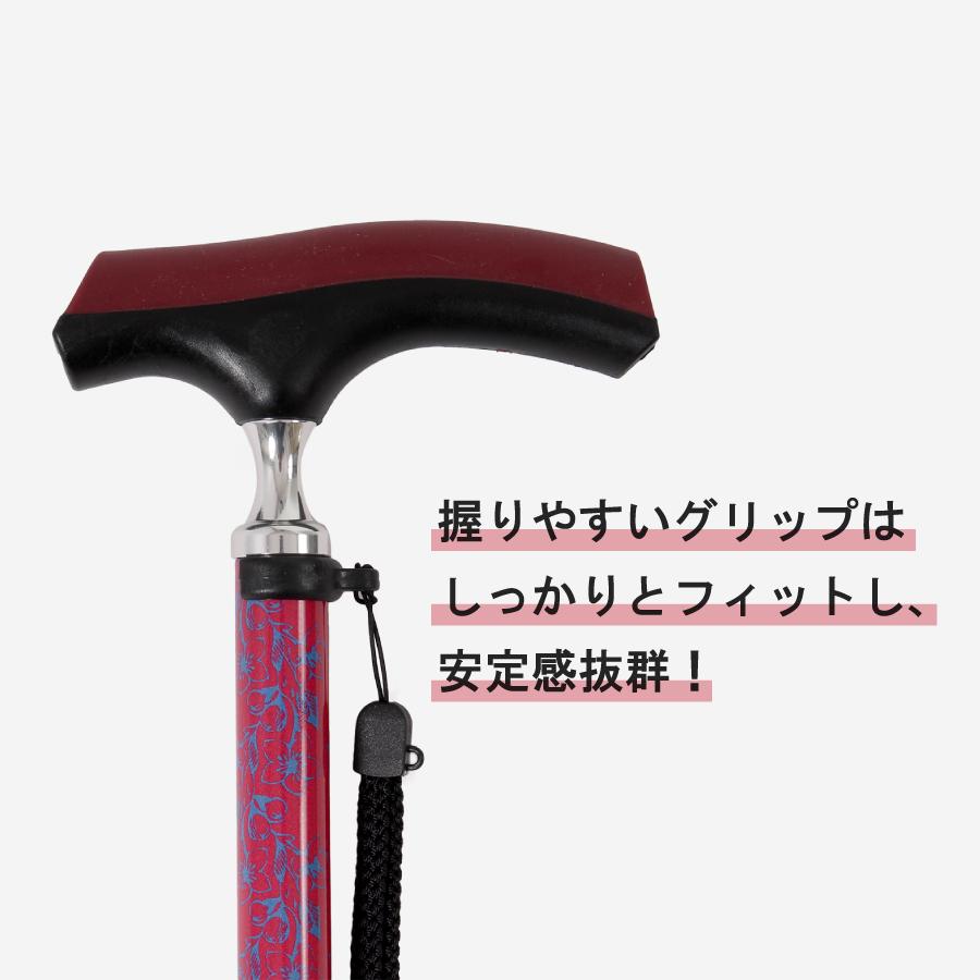 インターリンクス 【レビュープレゼント中】杖 おしゃれ ドクターズ