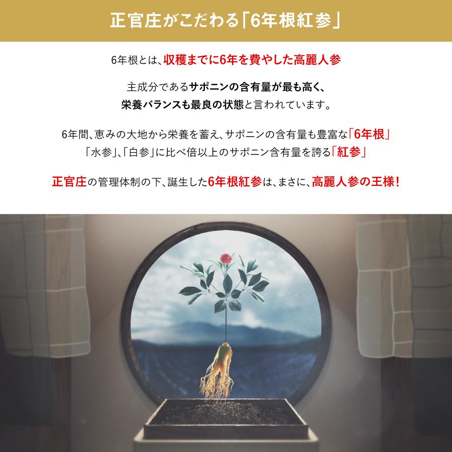 正官庄 紅参精 ロイヤル 240g 2個セット DF2029 紅蔘エキス 紅参エキス 