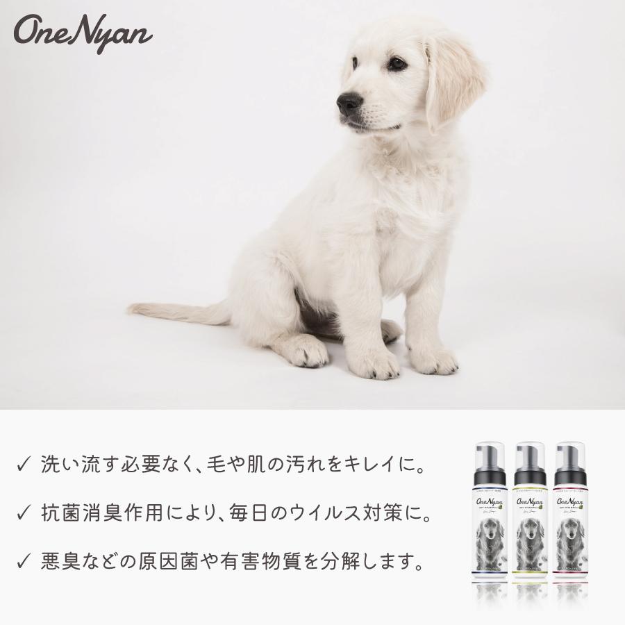Onenyan ドライシャンプー 犬用 0ml 06 Ons 犬 シャンプー 日本製 アミノ酸 毛 肌 皮膚 乾燥 静電気 除菌 抗菌 消臭 悪臭 汚れ ウイルス対策 On Dog ヘルシーアンドライフ サニー 通販 Yahoo ショッピング