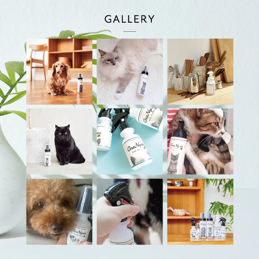 【ブランド累計60万本突破】 OneNyan イヤークリーン 100ml 0206-ONE104 犬 猫 ペット 耳 耳垢 耳洗浄 耳ダニ 耳掃除 痒み 無添加 日本製 除菌 消臭 トリミング | OneNyan | 14