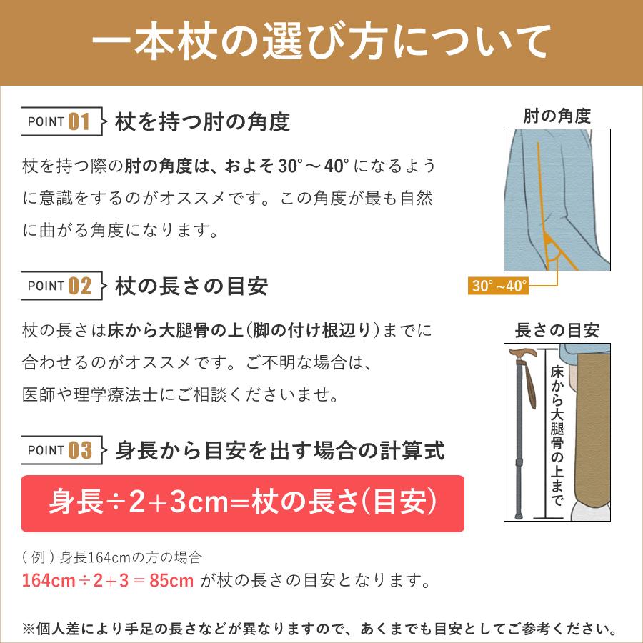 インターリンクス 杖 つえ おしゃれ ベーシック伸縮杖 0401-BS28 女性