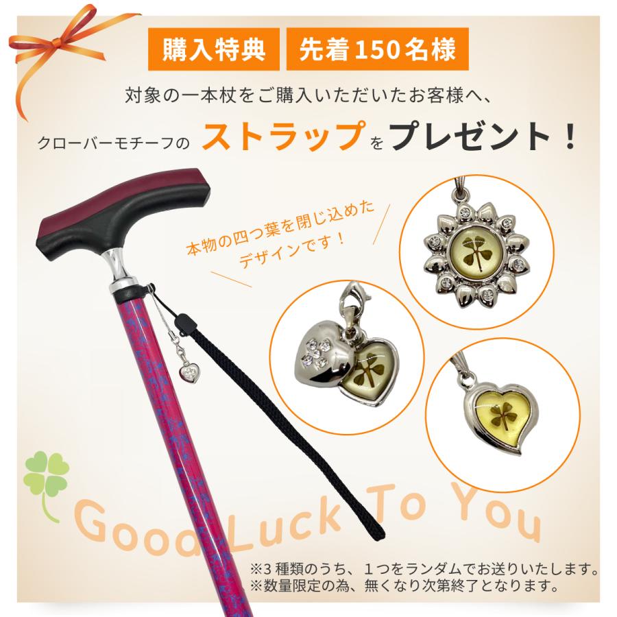 杖 おしゃれ Wood Walk SUST-WW 女性 男性 軽量 お洒落 かっこいい 