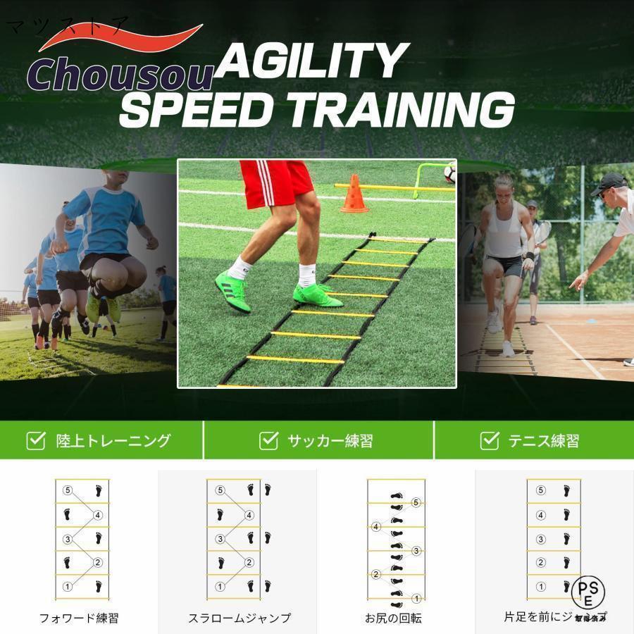 ラダー トレーニングラダー 固定式 12枚プレート ハードルトレーニング