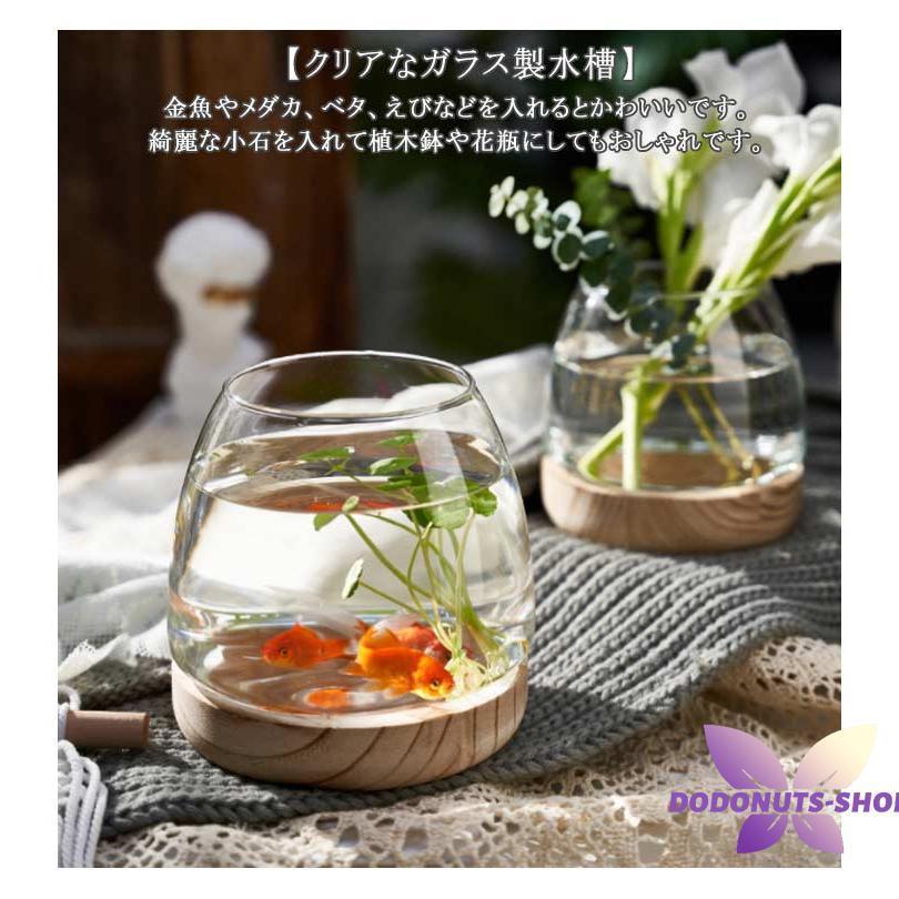 メダカ おしゃれ 金魚 ガラス金魚鉢 容器 室内 水槽 創作卓上金魚鉢