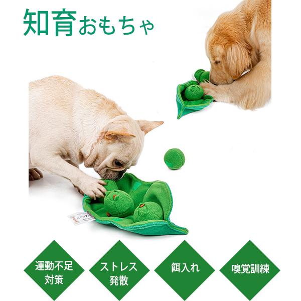ノーズワーク 犬 ペット おもちゃ しつけ 嗅覚 訓練 嗅覚訓練 ペット