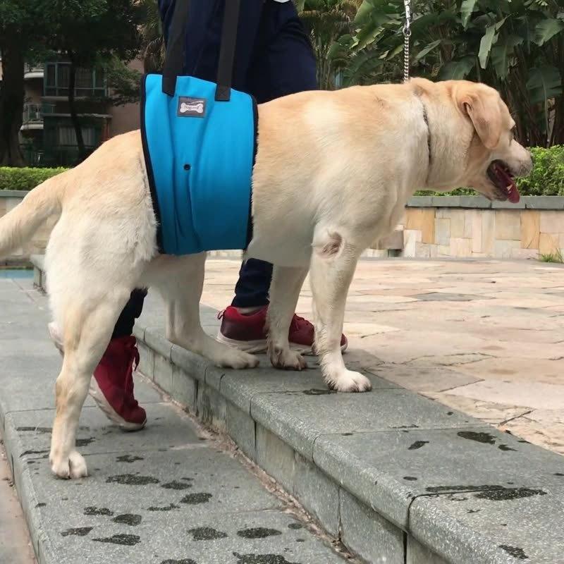 介護ハーネス 用歩行補助ハーネス 犬用ハーネス リード 老犬 介護 障害