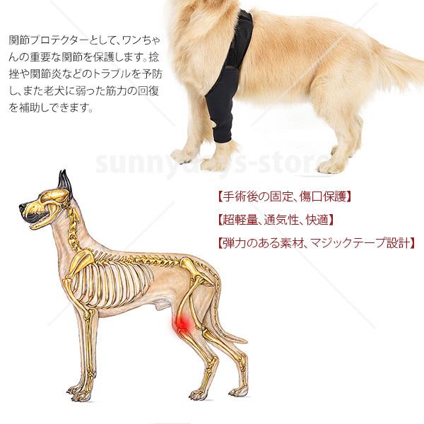 関節 保護 ペット用 サポーター 膝蓋骨 脱臼 犬 弾力 保護用包帯 猫 超軽量 犬足プロテクター 舐め防止 犬用 手術固定 老犬介護 手術固定 足保護 傷口保護 Petcl0034 サニーデイズ 通販 Yahoo ショッピング