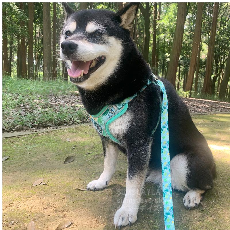 犬 ハーネス ソフトハーネス メッシュ 抜けない 脱げない 老犬 柴犬