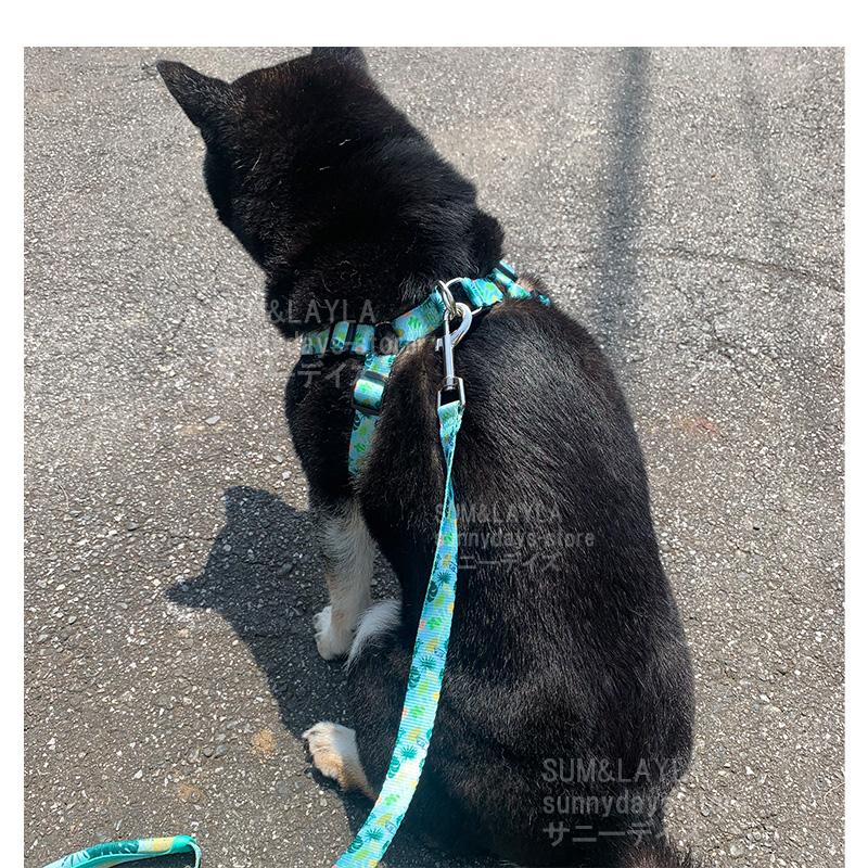 犬用 ハーネス リードセット Mサイズ ブラック 通気性 反射ベスト メッシュ 犬 ハーネス リードセット おしゃれ 犬用 胴輪 メッシュ 通気性 快適
