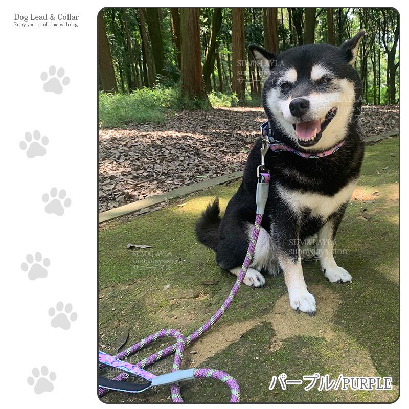 犬 リード 犬リード 犬用リード 大型犬 犬のリード 大型犬リード ロープ おしゃれ 中型犬 首輪 セット ペット : サニーデイズ - 通販 ...