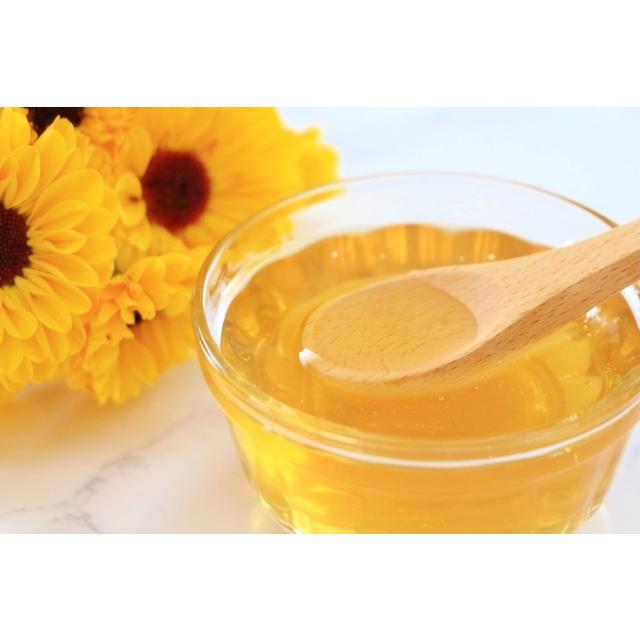 KIRKLAND signature コストコ はちみつ 3kg 蜂蜜 カークランド  