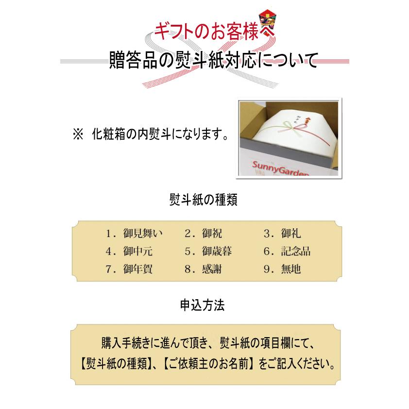 ハンバーグ 冷凍 お取り寄せ ギフト 和風ソース デミグラス レンジ 日向100年ハンバーグ ６個セット 宮崎県綾町産ぶどう豚と特選牛の黄金比 バレンタイン | ブランド登録なし | 04