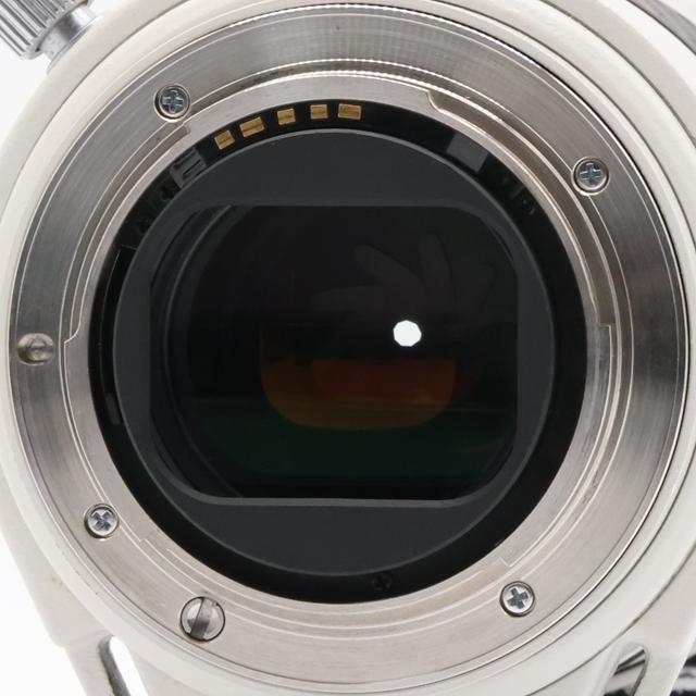 美品＞ Minolta HIGH SPEED AF APO 80-200mm F2.8 G｜大口径望遠ズーム