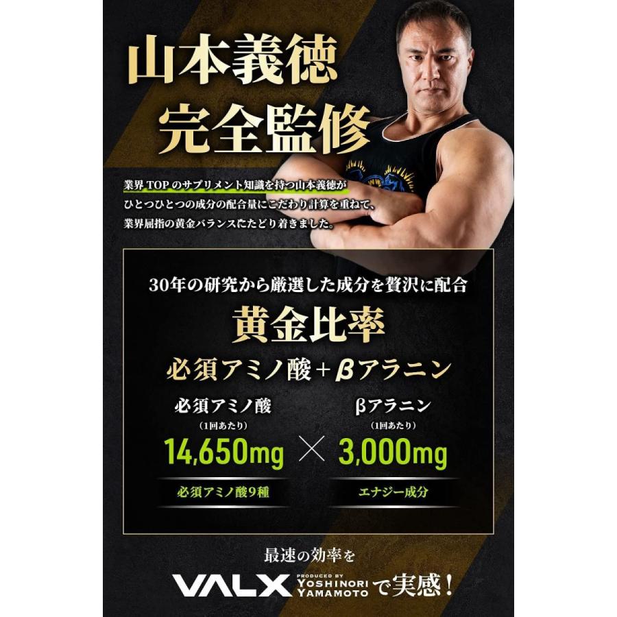 後払い手数料無料 Valx バルクス Eaa9 Produced By 山本義徳 750g シトラス風味 必須アミノ酸 プロテイン Www Miguelsaco Com