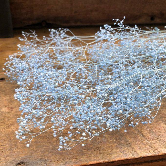 かすみ草 ラベンダー ドライフラワー 10g 花材 ハンドメイド
