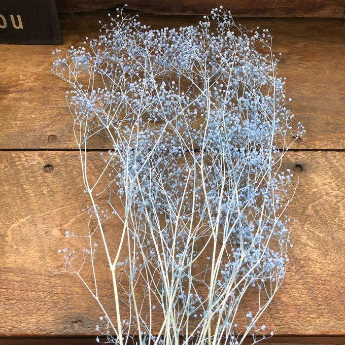 かすみ草 ラベンダー ドライフラワー 10g 花材 ハンドメイド
