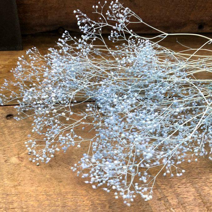 かすみ草 ラベンダー ドライフラワー 10g 花材 ハンドメイド