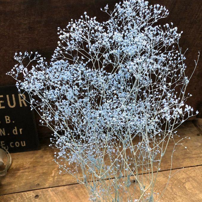 かすみ草 ラベンダー ドライフラワー 10g 花材 ハンドメイド