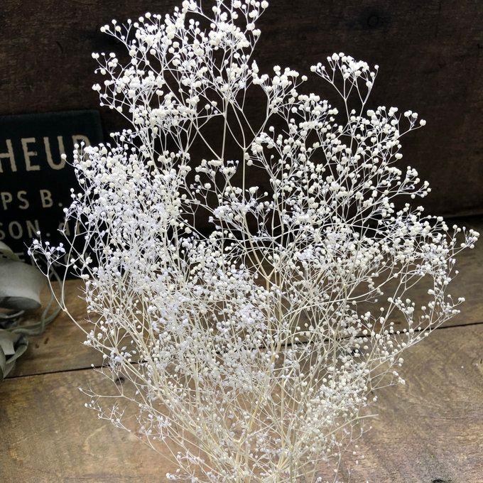 かすみ草 ホワイト ドライフラワー 10g 花材 ハンドメイド カスミソウ