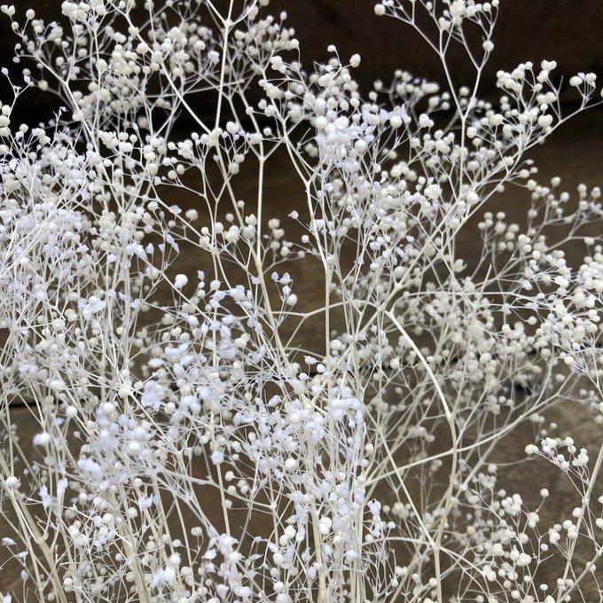かすみ草 ホワイト ドライフラワー 10g 花材 ハンドメイド カスミソウ