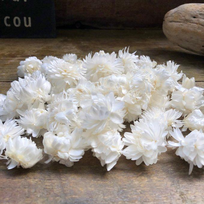 ヘリクリサム・ヘッド 白（ドライフラワー花材） 10g ハンドメイド