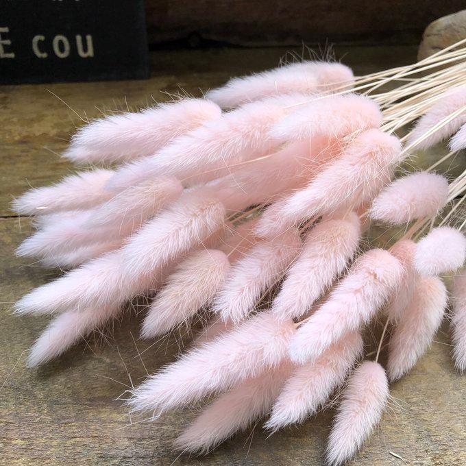 ピンク ラグラス バニーテール ドライフラワー 花材 スワッグ アレンジ