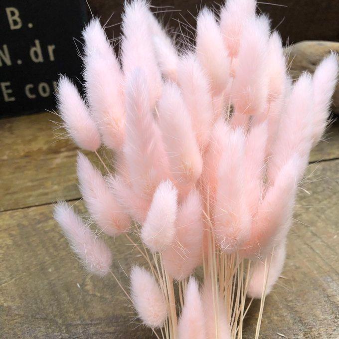 ピンク ラグラス バニーテール ドライフラワー 花材 スワッグ アレンジ